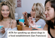 Customer Told Ice-Cream Shop Employee It Was Against The Health Code To Have A Dog In The Restaurant, But They Let The Pooch Stay