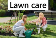 Closely Knit Neighborhood Fights Back Against New Homeowners Trying To Impose Gardening Rules By Turning Every Home Into A Wildlife Habitat