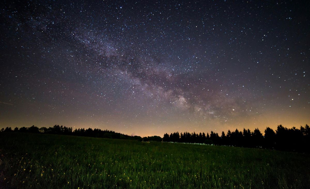 A field under the Milky Way
