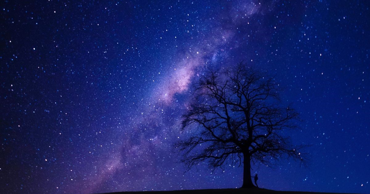 A man under a tree observing the Milky Way