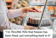 Store Owner Insisted TCBY Employee Put Ice Cream Cakes Back In A Broken Freezer, But When They Melted The Employee Got Fired