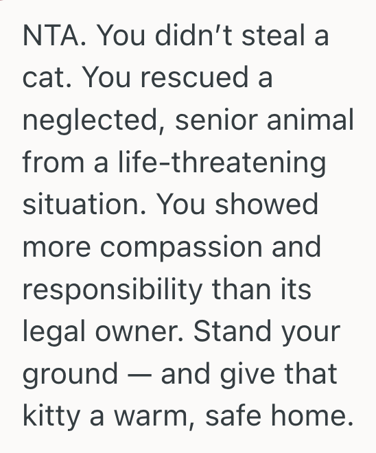 Screenshot 2025 06 04 at 2.22.22 PM Neighbor Left His Elderly Cat Out In A Blizzard, So They Took It In And Then Refused To Give It Back
