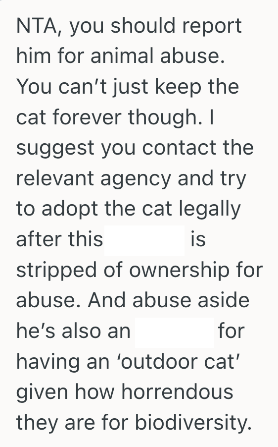 Screenshot 2025 06 04 at 2.23.54 PM Neighbor Left His Elderly Cat Out In A Blizzard, So They Took It In And Then Refused To Give It Back