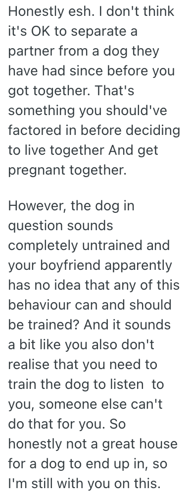 Screenshot 2025 06 06 at 1.13.55 PM Pregnant Womans Husband Wants His Out of Control Dog To Live With Them, But She Wont Allow It