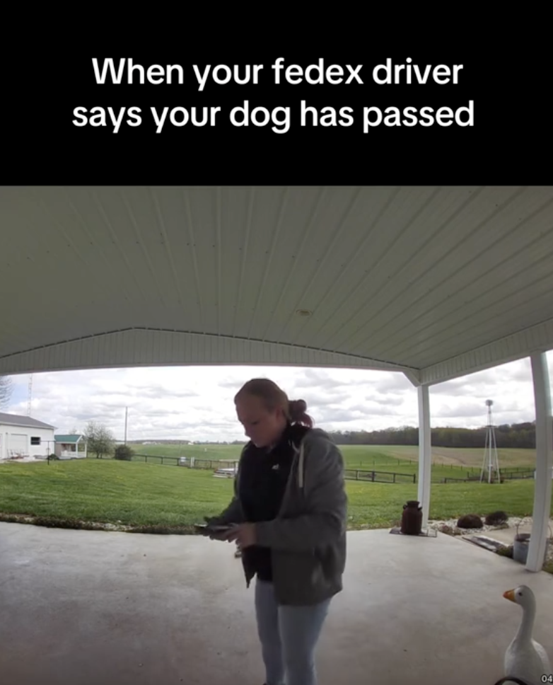 fedex driver on a porch