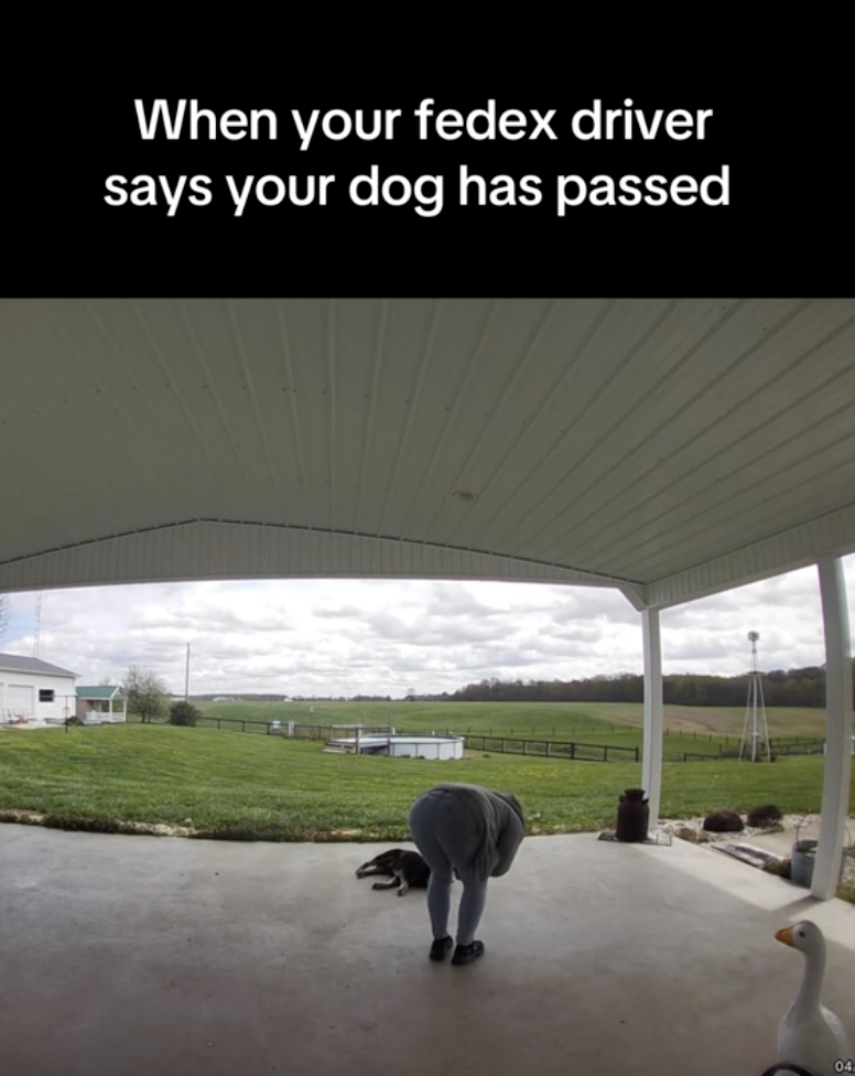 woman with a dog on a porch