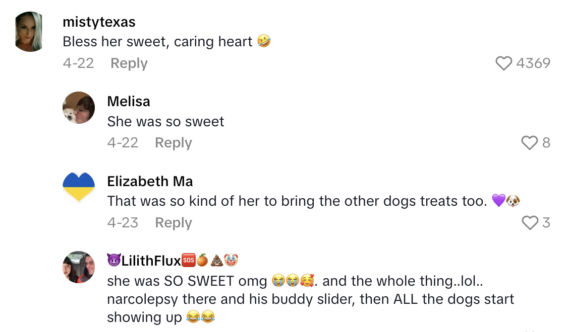 Screenshot 2025 06 08 at 10.08.18 AM A FedEx Delivery Driver Thought This Womans Sleeping Dog Had Passed Away, So She Alerted The Owner