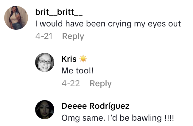 Screenshot 2025 06 08 at 10.08.40 AM A FedEx Delivery Driver Thought This Womans Sleeping Dog Had Passed Away, So She Alerted The Owner