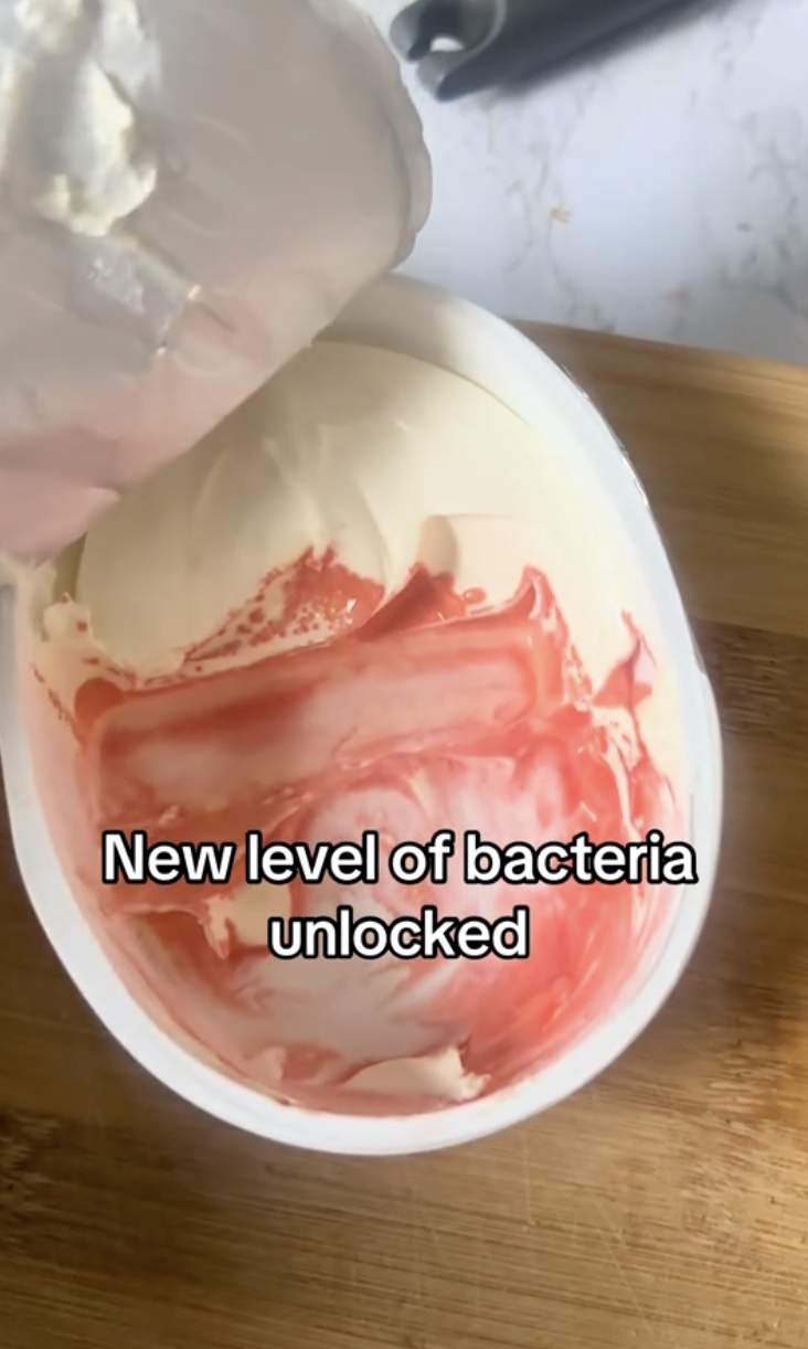 cream cheese covered in bacteria