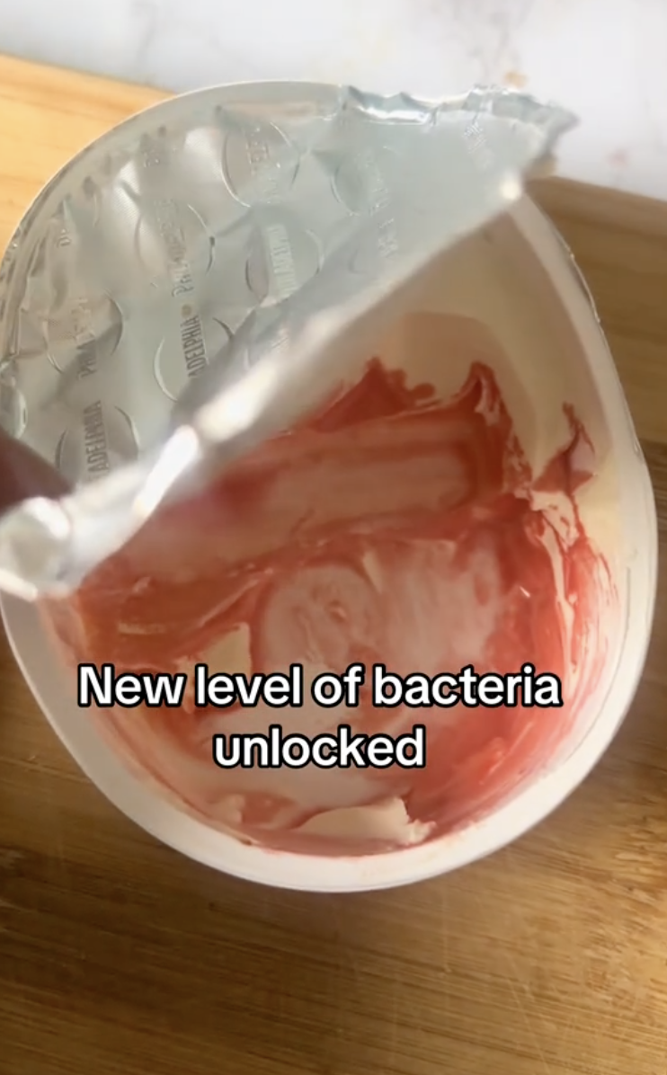 cream cheese with bacteria on it