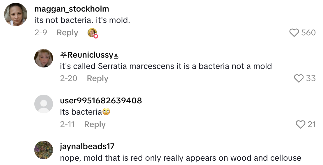 Screenshot 2025 06 08 at 11.11.44 AM New level of bacteria unlocked.   Shopper Showed How Nasty A Container of Cream Cheese Got In Her Refrigerator