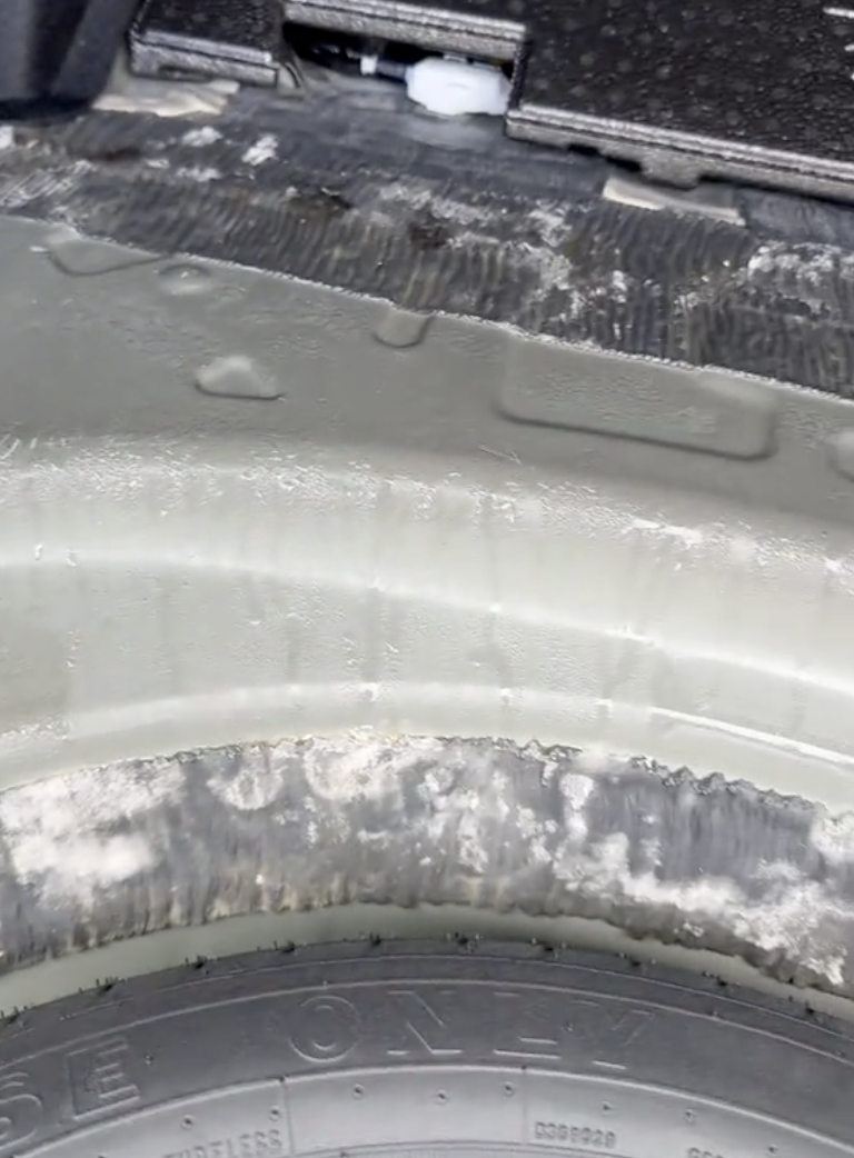 mold in a car's trunk