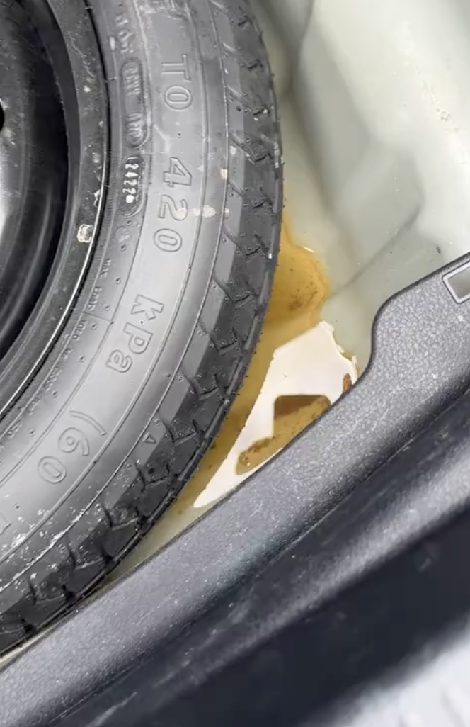 water in the trunk of a car