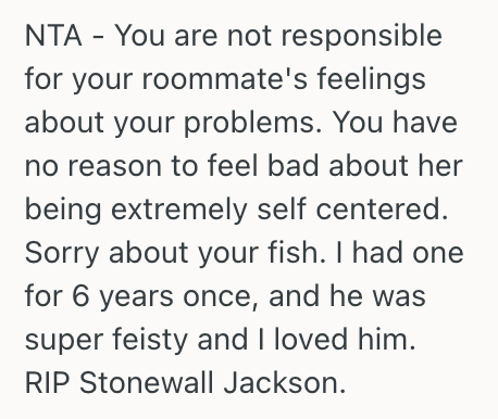 Screenshot 2025 06 08 at 9.52.38 PM Woman Needed Some Quiet Time To Process Her Mental Health, But Her Roommate Felt Ignored And Got Upset