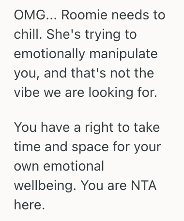 Screenshot 2025 06 08 at 9.53.14 PM Woman Needed Some Quiet Time To Process Her Mental Health, But Her Roommate Felt Ignored And Got Upset