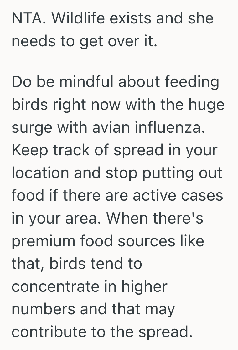 Screenshot 2025 06 11 at 11.51.36%E2%80%AFAM Gardener Loved Feeding The Birds In Her Garden, But Her Quiet Retreat Turned Hostile When The Neighbor Started Complaining About The Bird Waste