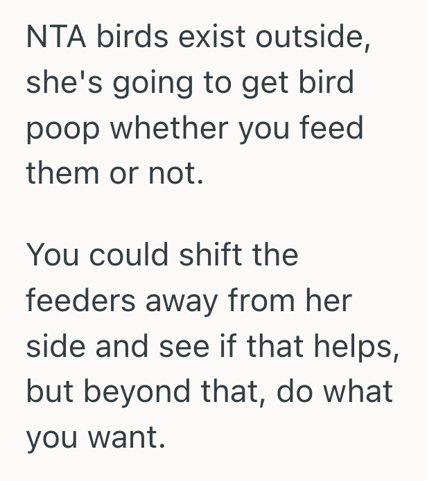 Screenshot 2025 06 11 at 11.52.09%E2%80%AFAM Gardener Loved Feeding The Birds In Her Garden, But Her Quiet Retreat Turned Hostile When The Neighbor Started Complaining About The Bird Waste