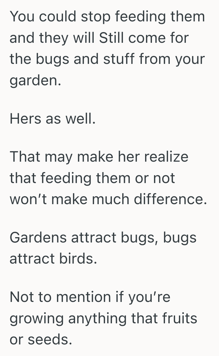 Screenshot 2025 06 11 at 11.52.48%E2%80%AFAM Gardener Loved Feeding The Birds In Her Garden, But Her Quiet Retreat Turned Hostile When The Neighbor Started Complaining About The Bird Waste