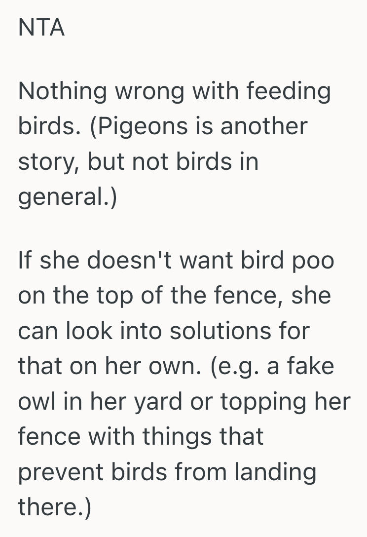 Screenshot 2025 06 11 at 11.53.20%E2%80%AFAM Gardener Loved Feeding The Birds In Her Garden, But Her Quiet Retreat Turned Hostile When The Neighbor Started Complaining About The Bird Waste