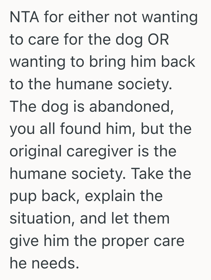 Screenshot 2025 06 13 at 8.57.26 PM His Roommates Took In A Puppy Without Thinking Through The Responsibility, So He Was Left Struggling To Care For A Pet He Didnt Want