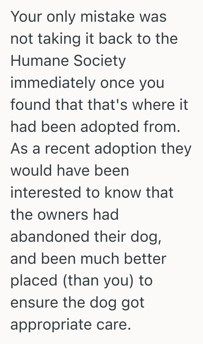 Screenshot 2025 06 13 at 8.59.10 PM His Roommates Took In A Puppy Without Thinking Through The Responsibility, So He Was Left Struggling To Care For A Pet He Didnt Want