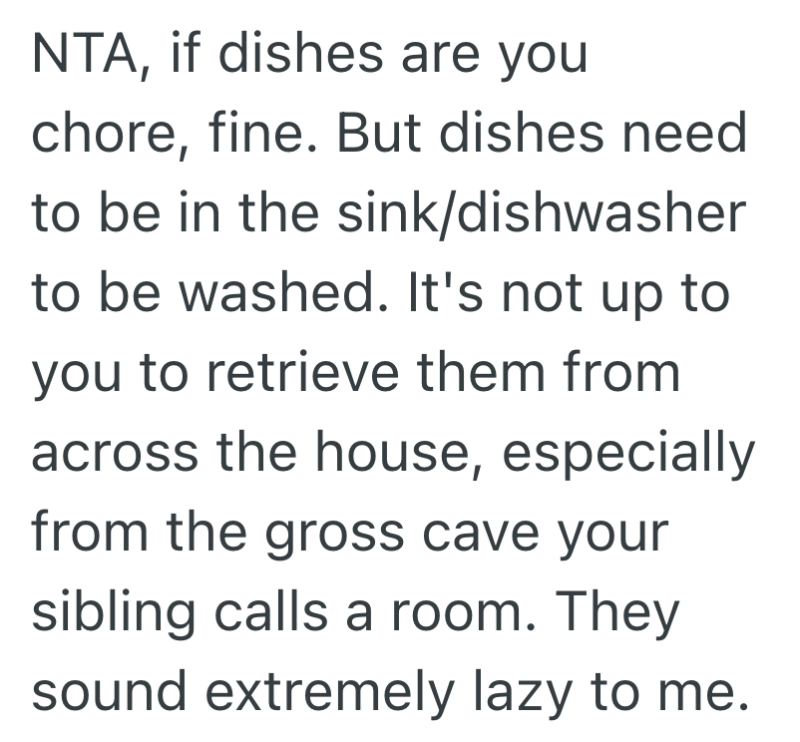 Screenshot 2025 06 17 at 10.18.48 AM e1750169996604 Sibling Keeps Hoarding Dirty Dishes In Their Room, So One Fed Up Family Member Stops Playing Cleanup Crew