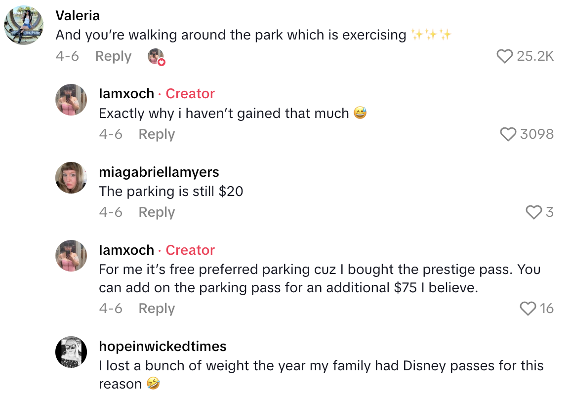 Screenshot 2025 06 18 at 5.41.14 PM Amusement Park Fan Said A $160 Dining Pass Will Let Her Eat For A Whole Year.   Girl math saving me money every month!