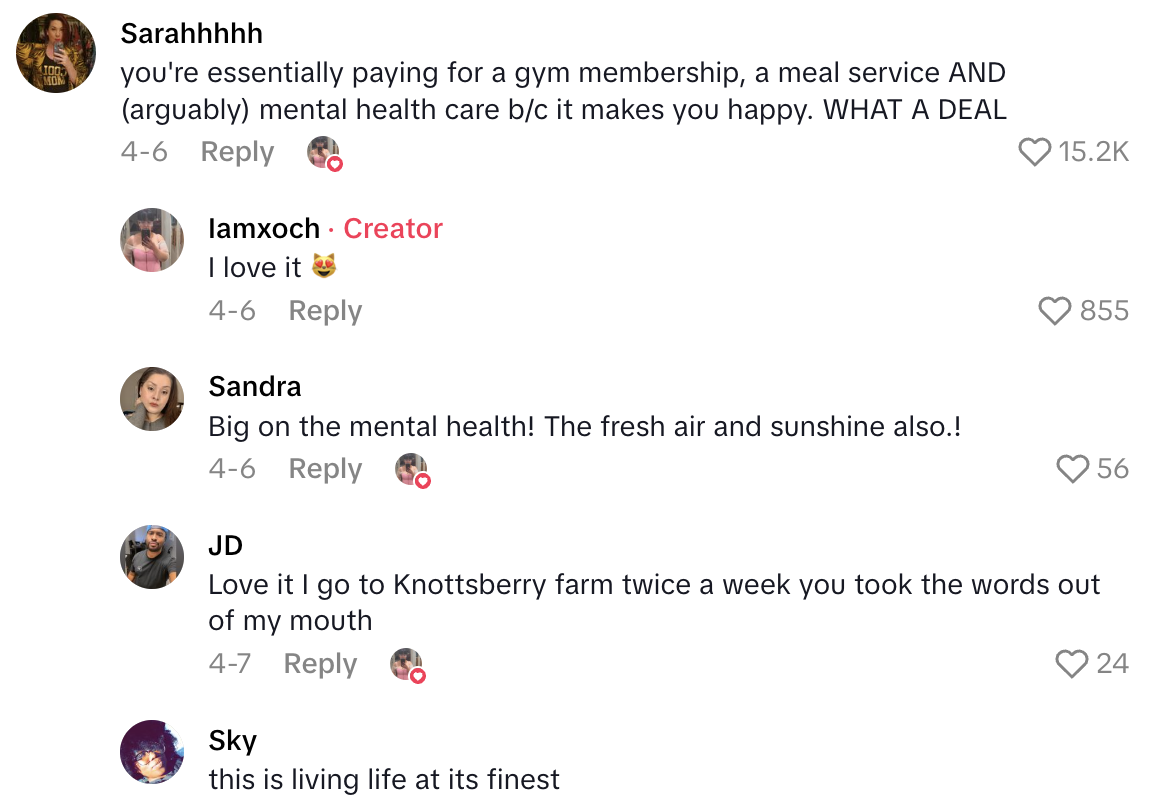 Screenshot 2025 06 18 at 5.41.31 PM Amusement Park Fan Said A $160 Dining Pass Will Let Her Eat For A Whole Year.   Girl math saving me money every month!