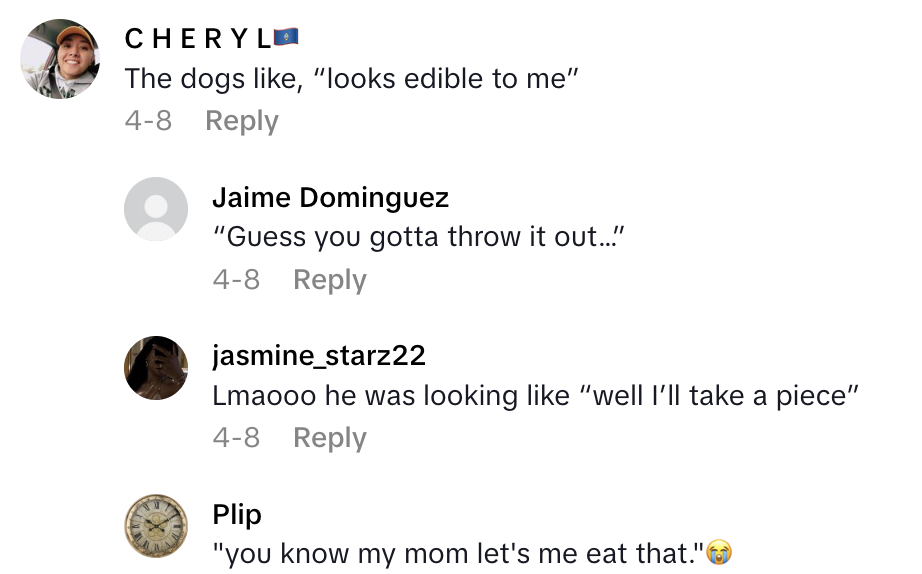 Screenshot 2025 06 20 at 2.04.19 PM A TikTokker Cooked A Steak On A Brand New Skillet And It Didnt Turn Out Well