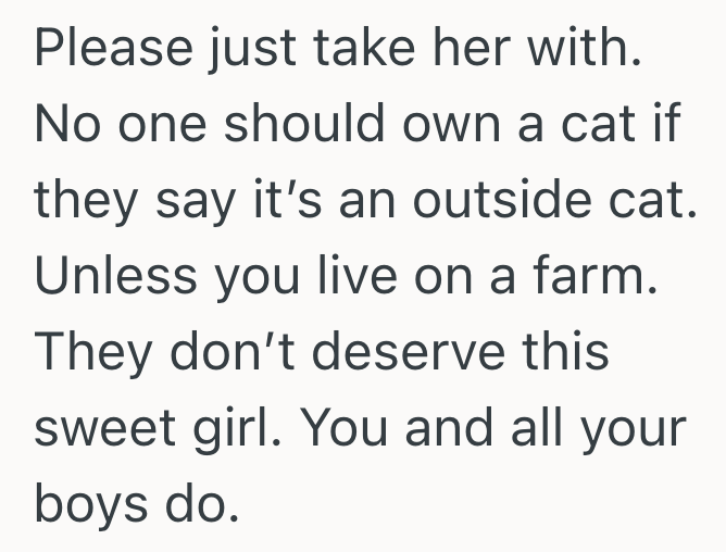 Screenshot 2025 06 23 at 12.43.33 PM Stray Cat Starts Hanging Out At Their Apartment, But When They Follow Her They Realize Shes Not Actually A Stray