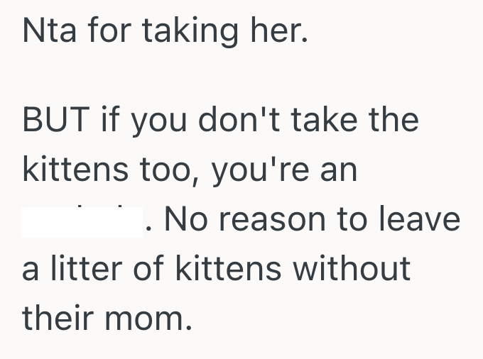 Screenshot 2025 06 23 at 12.43.47 PM Stray Cat Starts Hanging Out At Their Apartment, But When They Follow Her They Realize Shes Not Actually A Stray