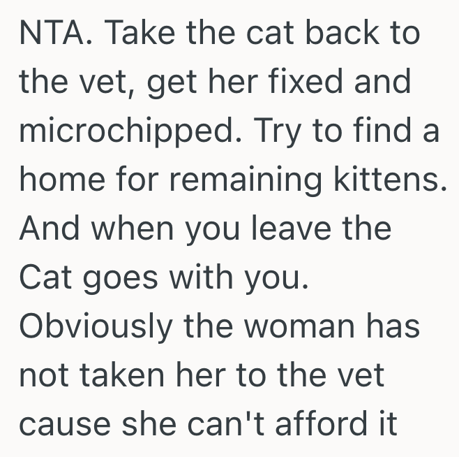 Screenshot 2025 06 23 at 12.44.19 PM Stray Cat Starts Hanging Out At Their Apartment, But When They Follow Her They Realize Shes Not Actually A Stray