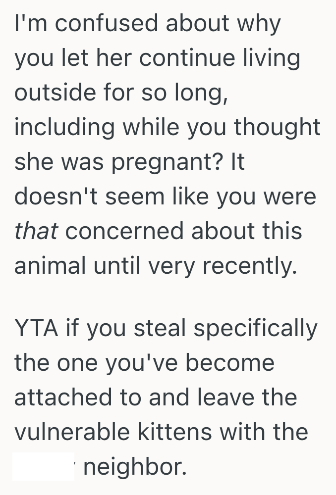 Screenshot 2025 06 23 at 12.44.55 PM Stray Cat Starts Hanging Out At Their Apartment, But When They Follow Her They Realize Shes Not Actually A Stray