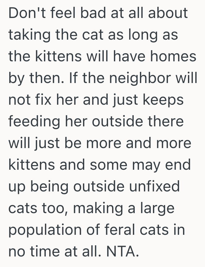 Screenshot 2025 06 23 at 12.45.30 PM Stray Cat Starts Hanging Out At Their Apartment, But When They Follow Her They Realize Shes Not Actually A Stray