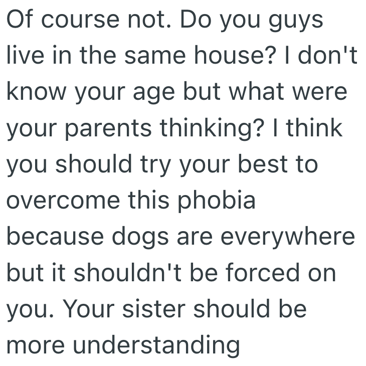 Screenshot 2025 06 24 at 4.24.47 PM Dog Phobic Sibling Didnt Want To Pet Her Sisters New Pooch, And It Made Waves In Her Family