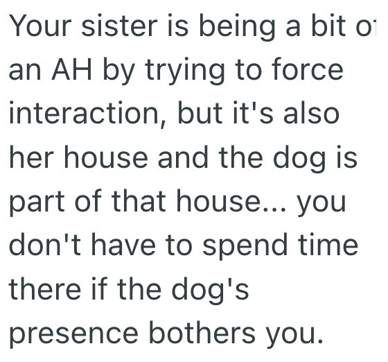 Screenshot 2025 06 24 at 4.25.11 PM Dog Phobic Sibling Didnt Want To Pet Her Sisters New Pooch, And It Made Waves In Her Family