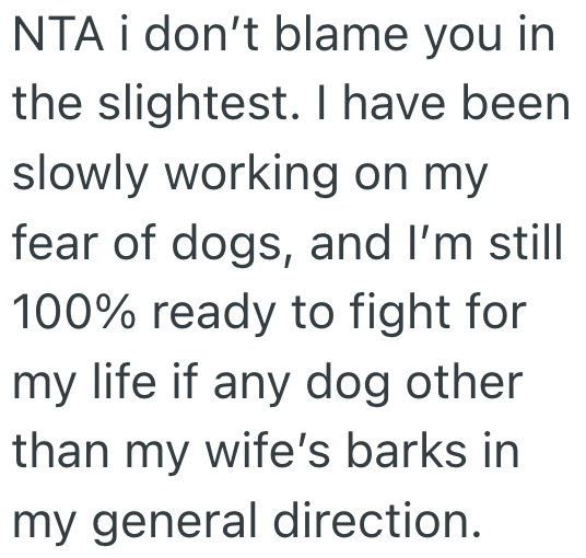 Screenshot 2025 06 24 at 4.26.36 PM Dog Phobic Sibling Didnt Want To Pet Her Sisters New Pooch, And It Made Waves In Her Family