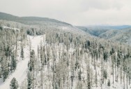 14,000 Years After They Were Buried Under A Siberian Landslide, Two Permafrost-Preserved Puppies Have Finally Been Identified