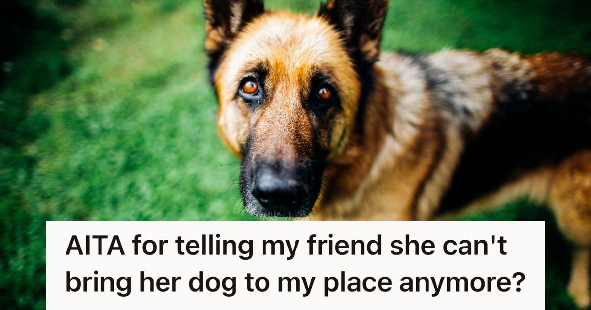 Her Friend Brings Her German Shepherd Over, But It Had An Accident So She Asked Her To Never Bring Him Again A German shepherd outside