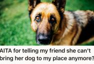 Her Friend Brings Her German Shepherd Over, But It Had An Accident So She Asked Her To Never Bring Him Again