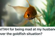 Kids Were Excited About Their New Goldfish, But Their Dad Claimed It Would Die and Replaced It With A Betta Fish