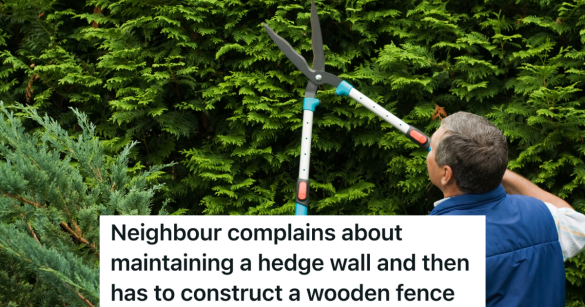 man with gray hair trimming a hedge