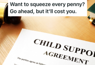 Dad Doesn’t Mind Paying Child Support To His Ex, But Her Annoying Lawyer Costs So Much That She’s Not Benefiting From His Pay Increase