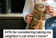 Stray Cat Starts Hanging Out At Their Apartment, But When They Follow Her They Realize She’s Not Actually A Stray