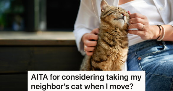 woman petting a striped cat