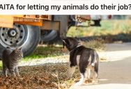 Young Lady Let Her Animals Catch A Mouse In The Barn, But Another Person Accused Her Of Being Cruel