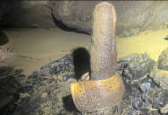 Hidden Treasures: Explorers Brave Mexico’s Flooded Caves to Uncover Ancient Secrets