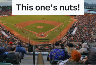 Rude Baseball Fan Spent The Whole Game Heckling The Home Team, So Two Fed Up Fans Filled His Hood With Peanut Shells