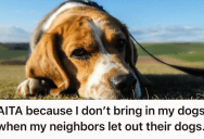 Her Dogs Remained Calm And Respectful, But Her Neighbors’ Poor Training Of Their Dogs Became Her Problem Anyway