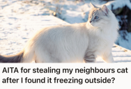 Neighbor Left His Elderly Cat Out In A Blizzard, So They Took It In And Then Refused To Give It Back